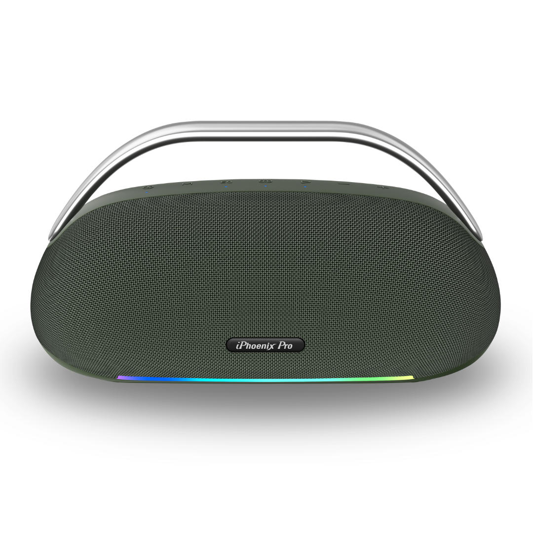 IX-113 100W Wireless Karaoke Speaker with Mic - Green