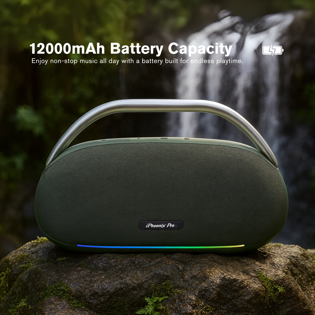 IX-113 100W Wireless Karaoke Speaker with Mic - Green