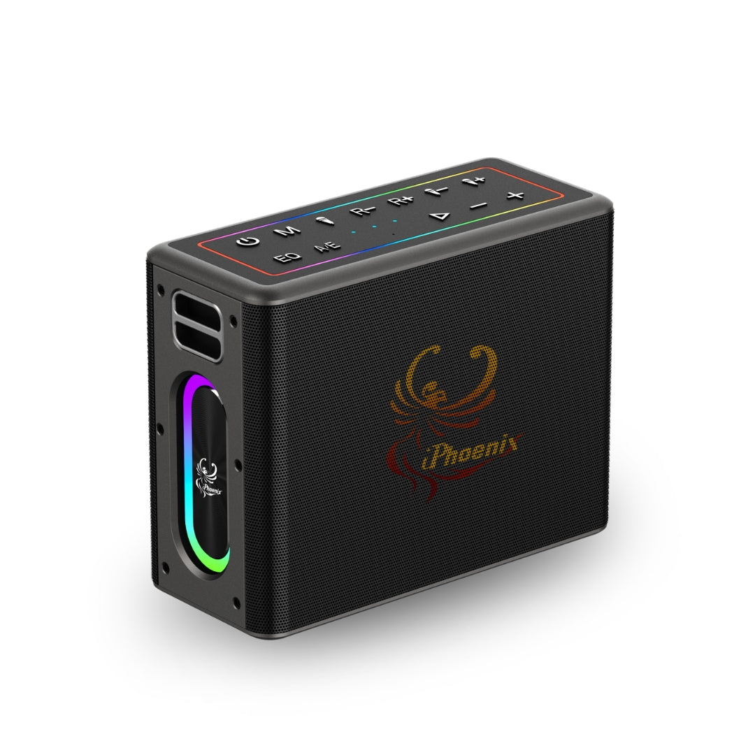 IX-60 12000mAh Wireless Karaoke Speaker - Black
