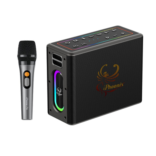 IX-60 12000mAh Wireless Karaoke Speaker - Black
