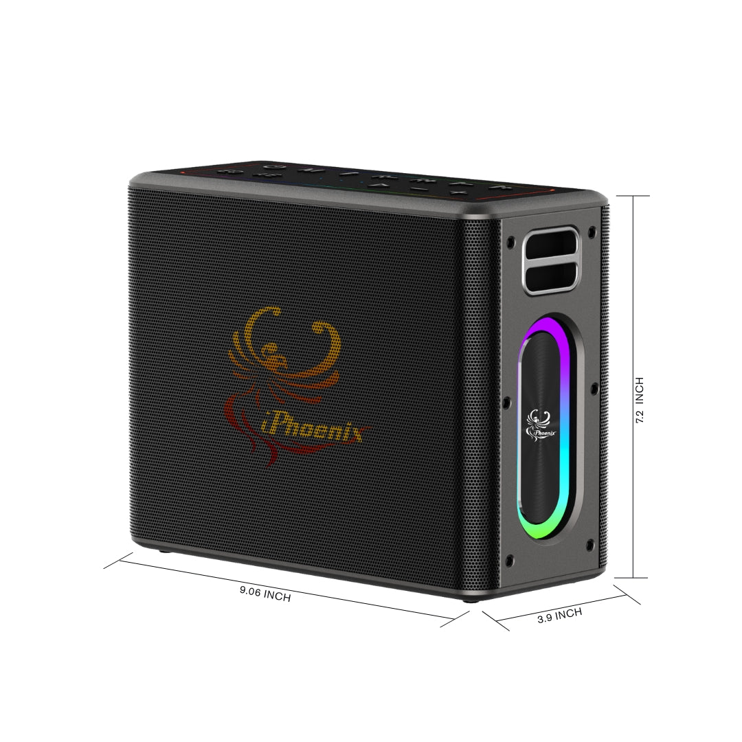 IX-60 12000mAh Wireless Karaoke Speaker - Black