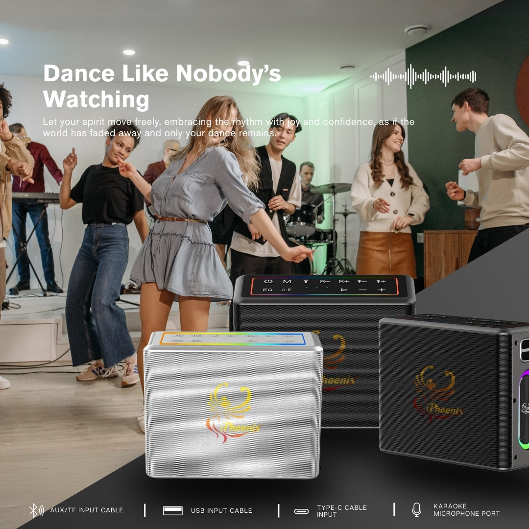 IX-60 12000mAh Wireless Karaoke Speaker - Black
