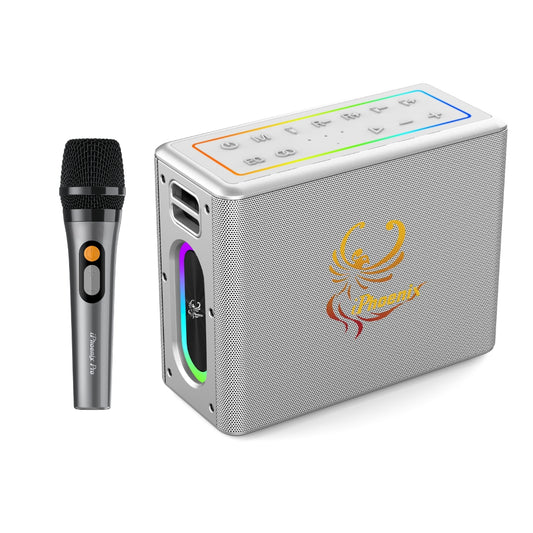 IX-60 12000mAh Wireless Karaoke Speaker - Silver