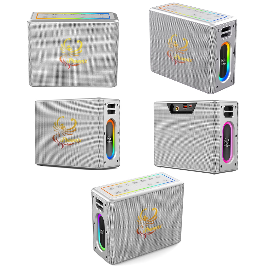 IX-60 12000mAh Wireless Karaoke Speaker - Silver