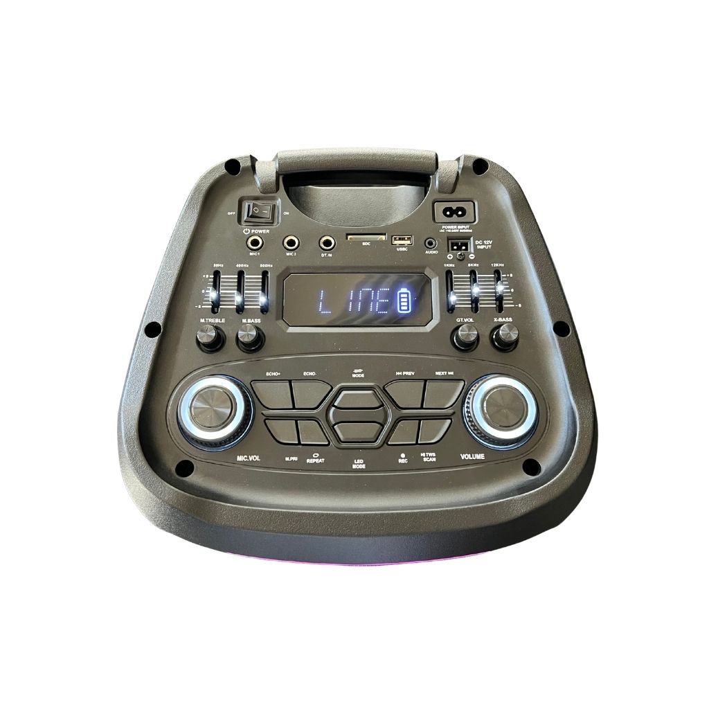 SH-1120 X-BASS Control 2x10 Inch Speaker Bluetooth with Wireless Mic