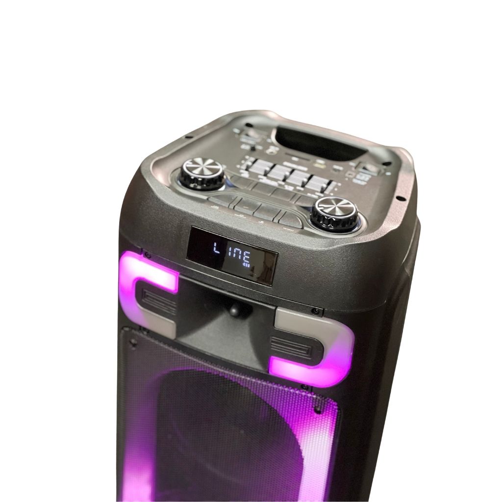 SH-1128 Portable 2x8 inch Bluetooth Speaker with Wired Mic