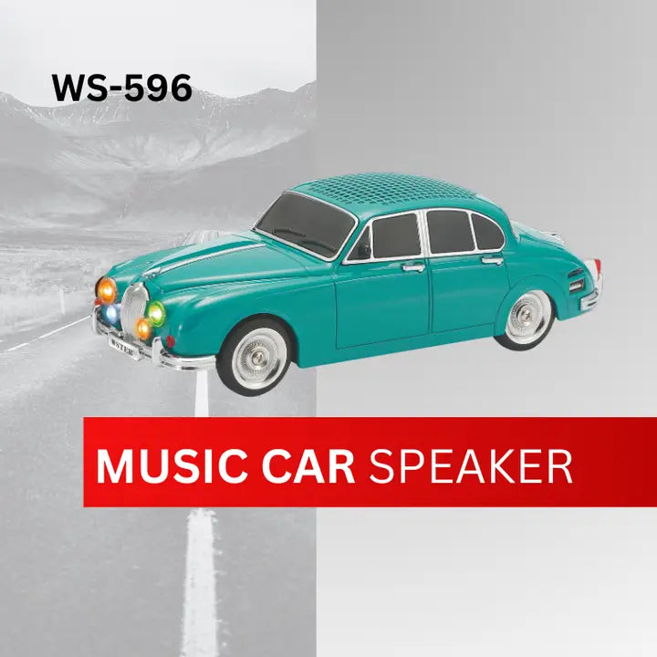 New Portable Speaker with FM Radio/Rechargeable WS-596 Home Gift