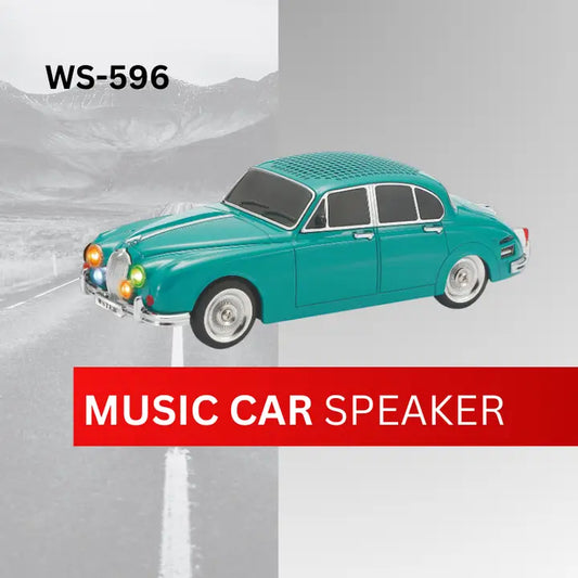 New Portable Speaker with FM Radio/Rechargeable WS-596 Home Gift