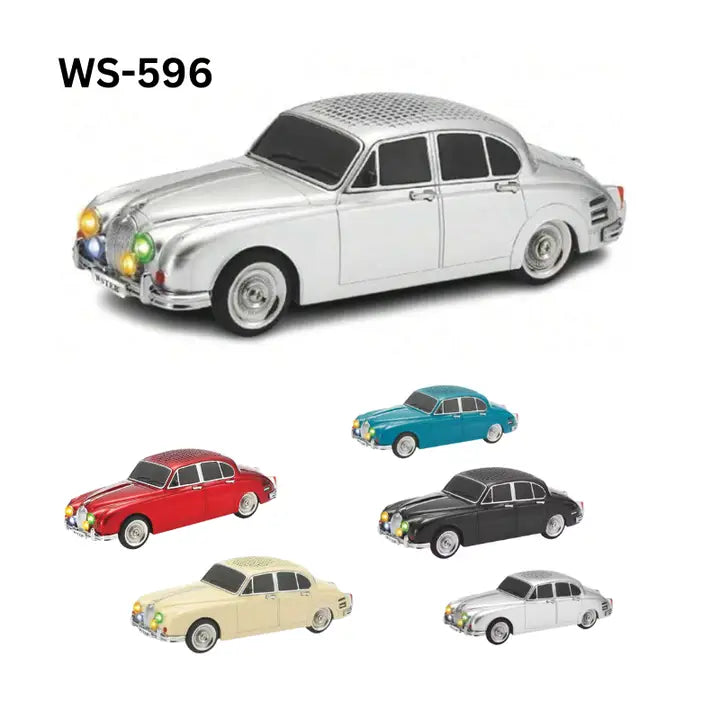 New Portable Speaker with FM Radio/Rechargeable WS-596 Home Gift