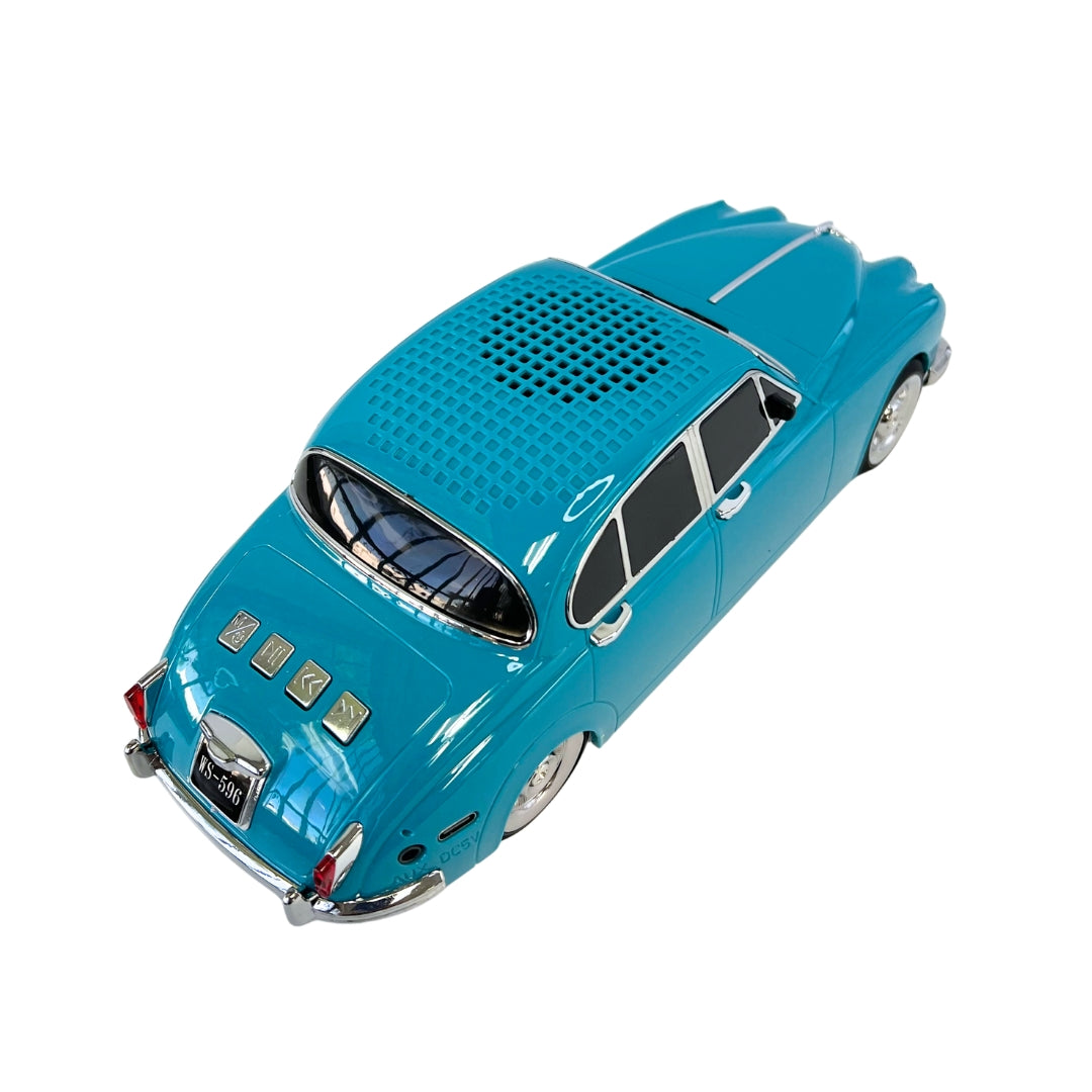 WS-596 New Portable Speaker with FM Radio/Rechargeable Home Gift - BLue