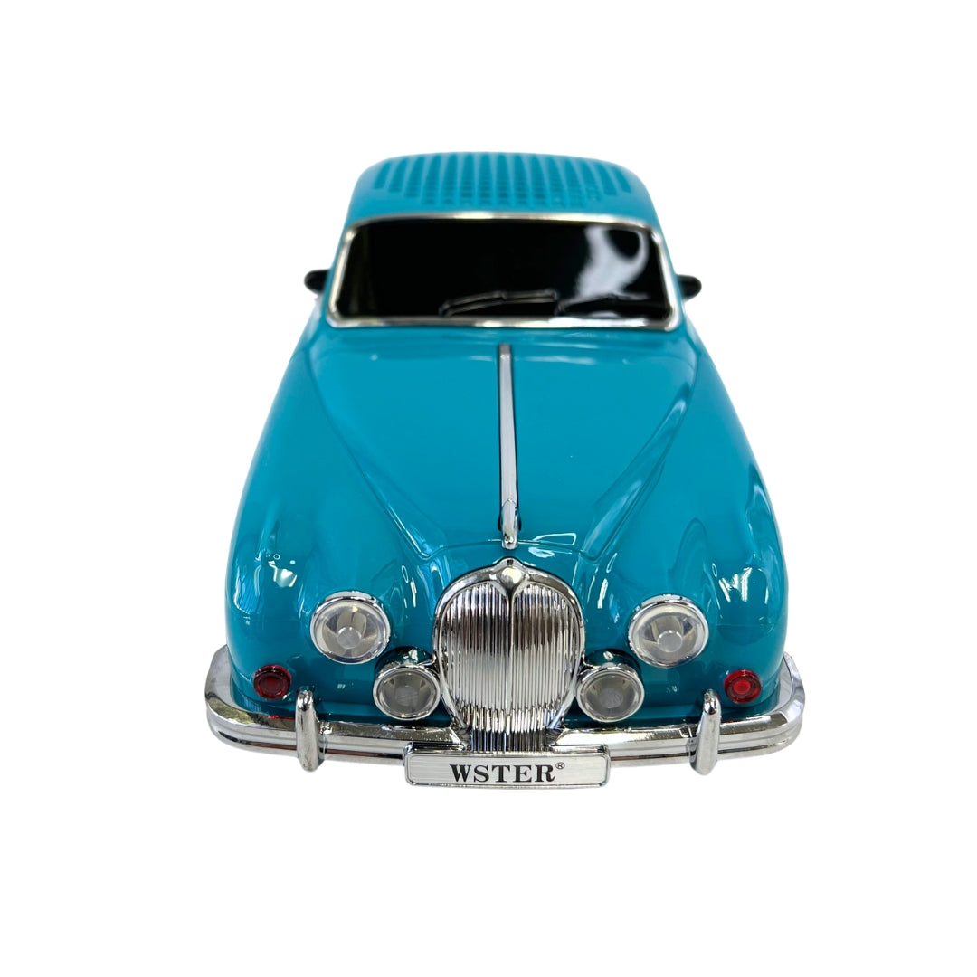 WS-596 New Portable Speaker with FM Radio/Rechargeable Home Gift - BLue