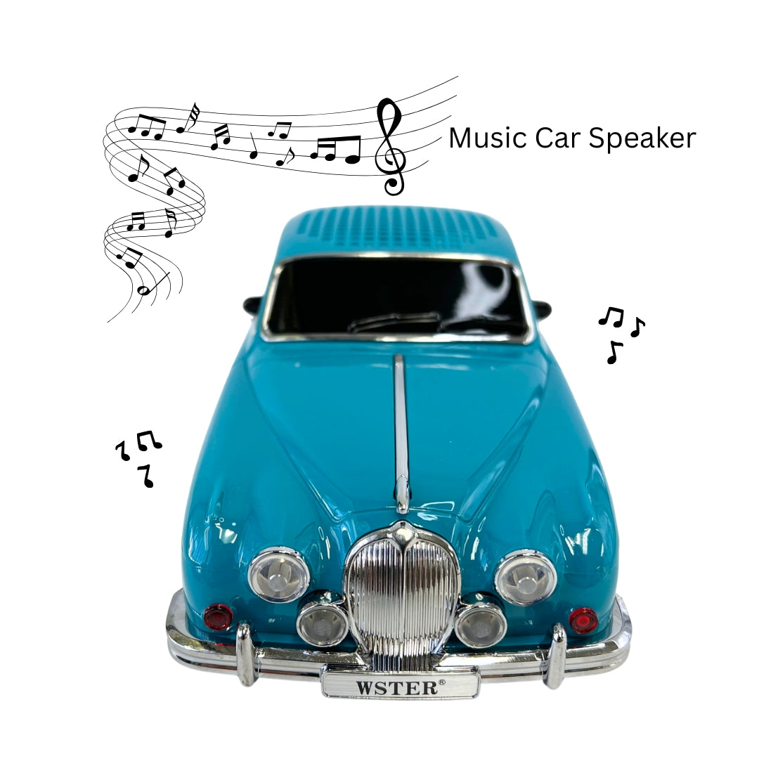 WS-596 New Portable Speaker with FM Radio/Rechargeable Home Gift - BLue