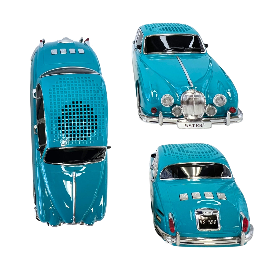 WS-596 New Portable Speaker with FM Radio/Rechargeable Home Gift - BLue