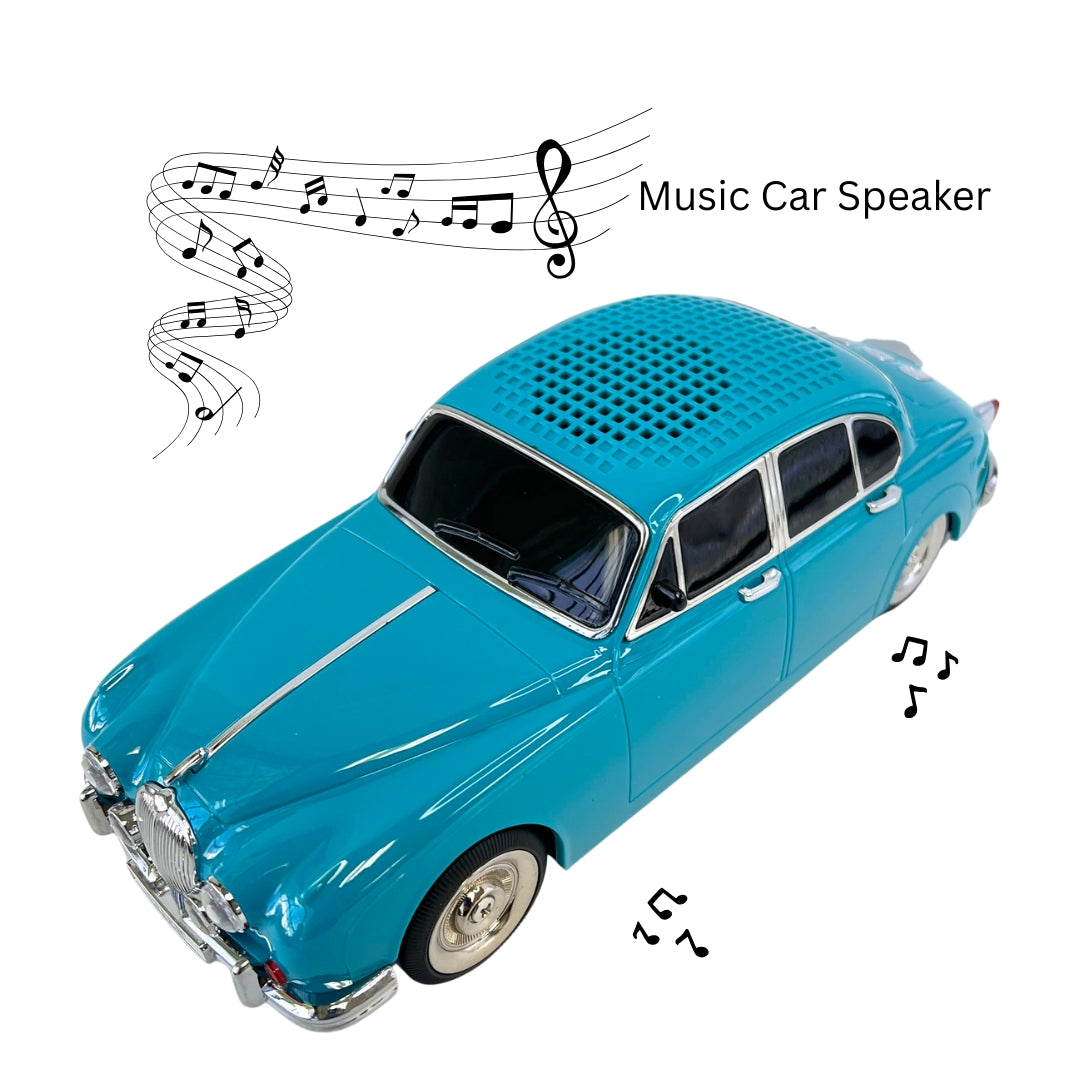 WS-596 New Portable Speaker with FM Radio/Rechargeable Home Gift - BLue