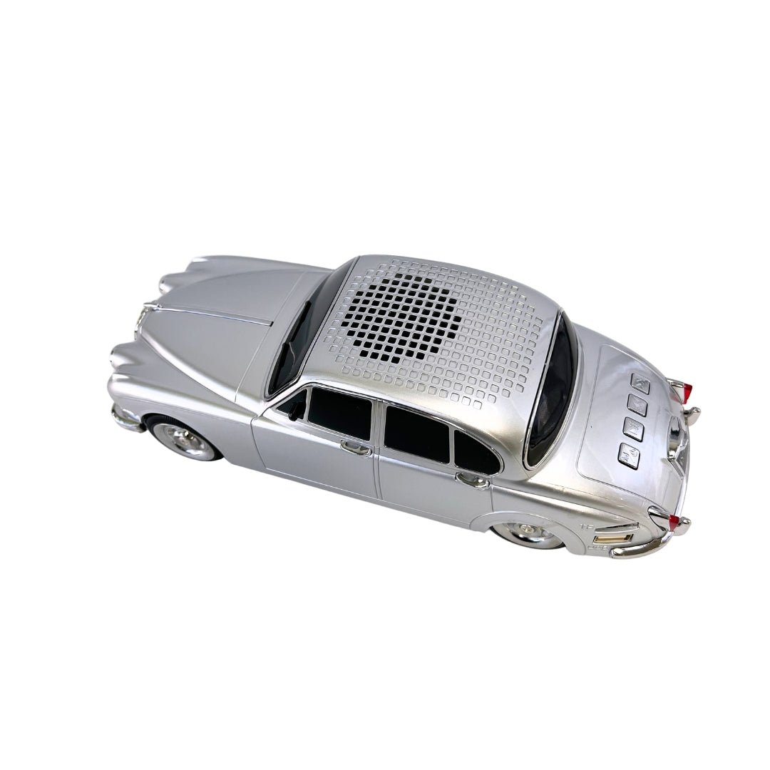WS-596 New Portable Speaker with FM Radio/Rechargeable Home Gift - Silver