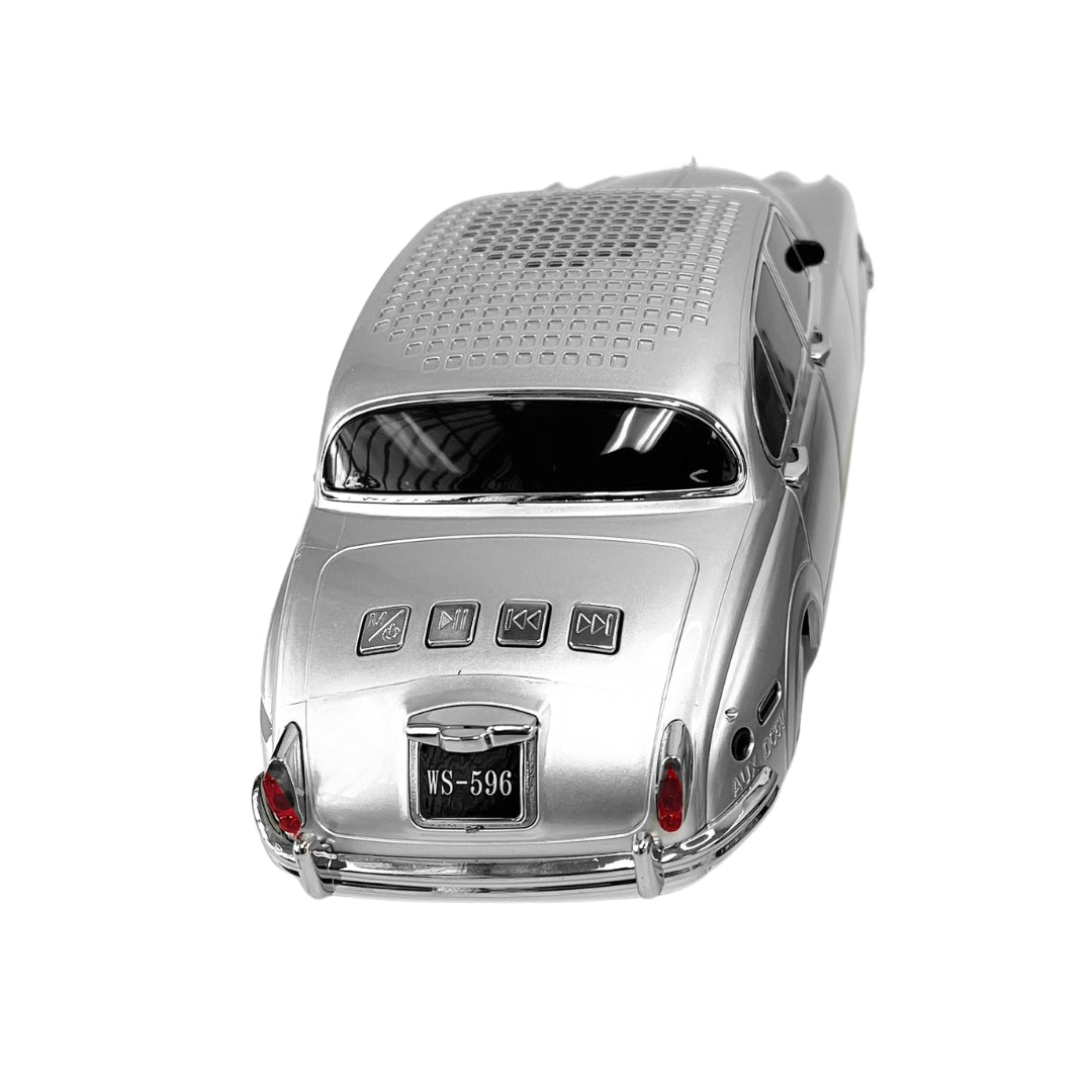 WS-596 New Portable Speaker with FM Radio/Rechargeable Home Gift - Silver