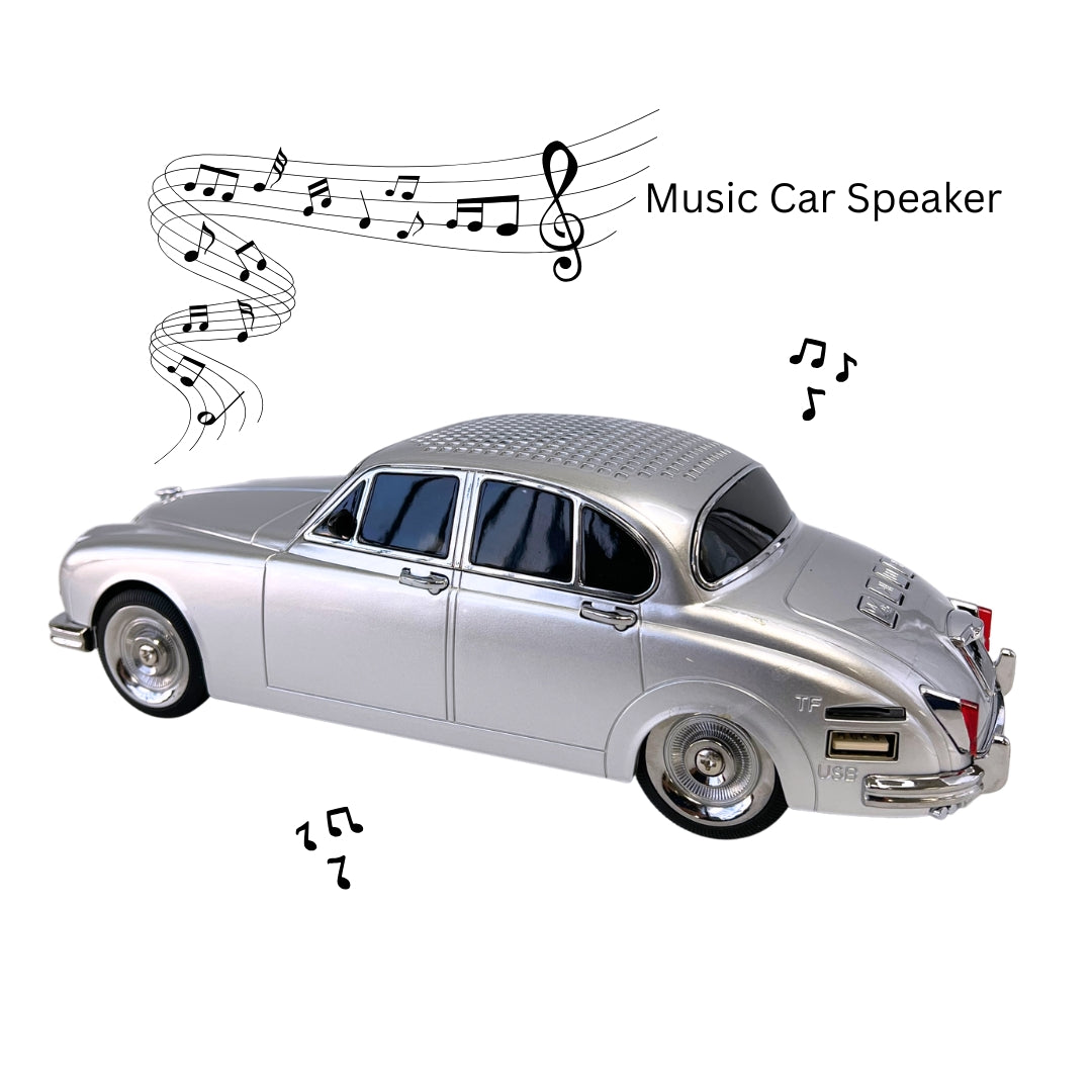 WS-596 New Portable Speaker with FM Radio/Rechargeable Home Gift - Silver