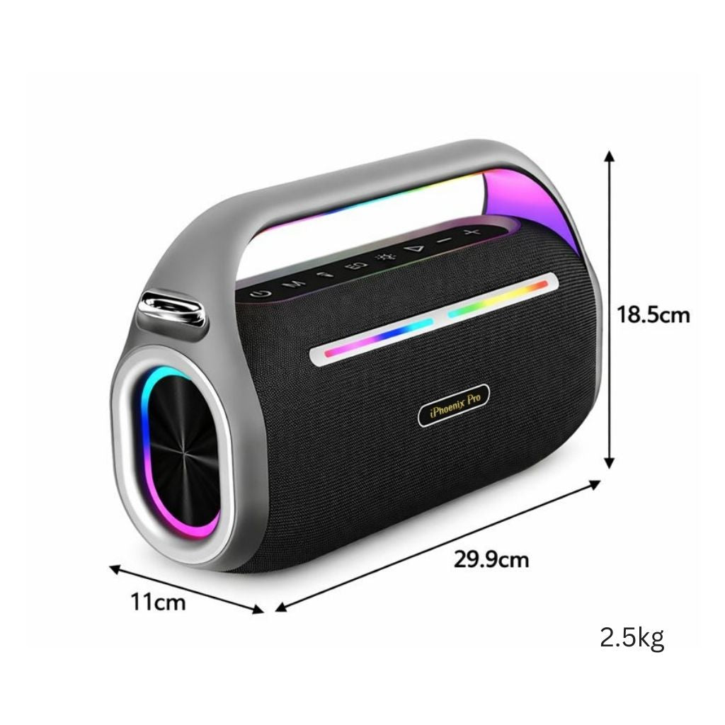 IP1 Pro Wireless Karaoke Speaker with 80W Power Output