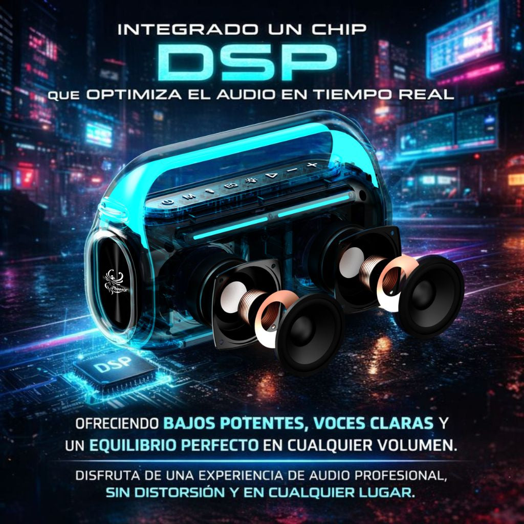 IP1 Pro Wireless Karaoke Speaker with 80W Power Output